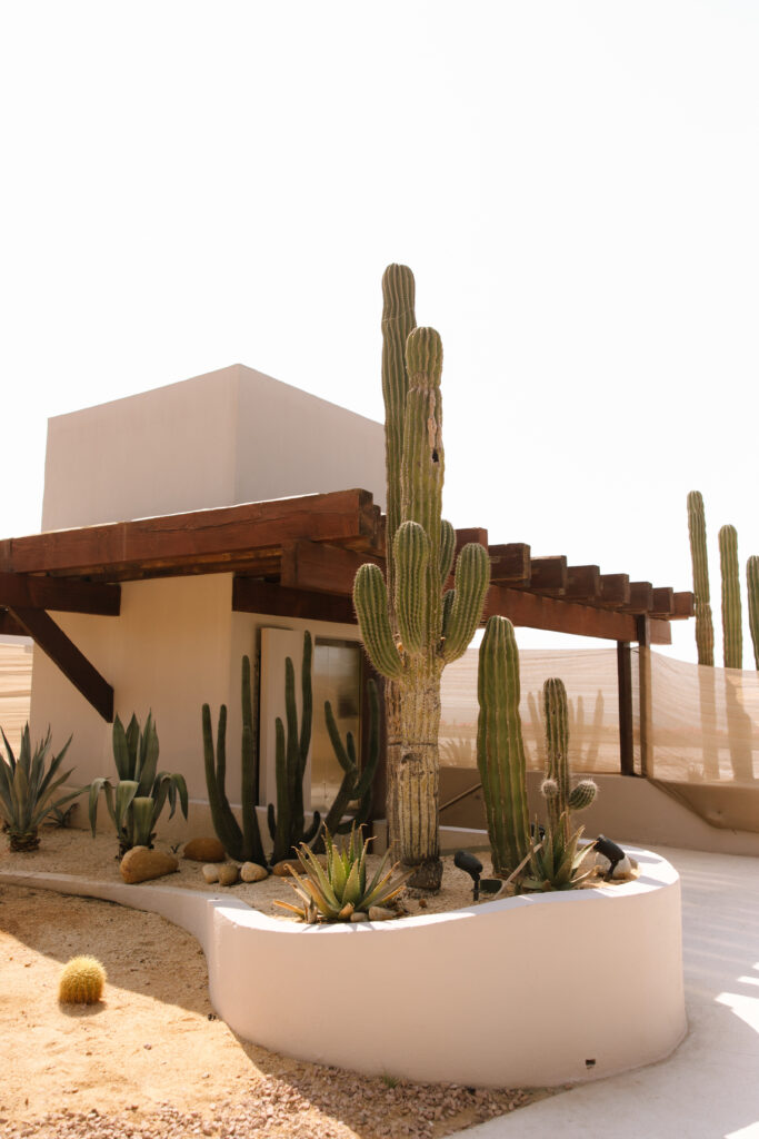 Cactus Desert Garden at Grand Velas Los Cabos Mexico